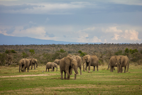 Nocne safari do Parku Narodowego Amboseli