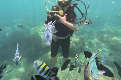 Da Nang: Cham Islands Fun Dive with Lunch and Transfers Fun Divers with Certified - two dive