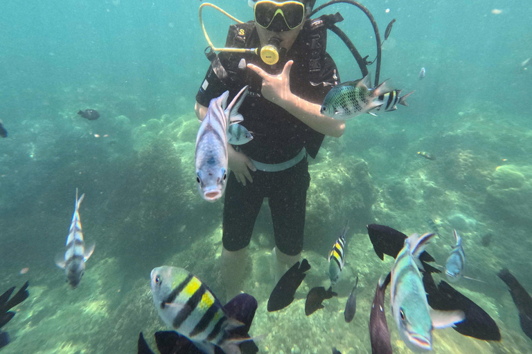 Da Nang: Cham Islands Fun Dive with Lunch and Transfers Fun Divers with Certified - two dive