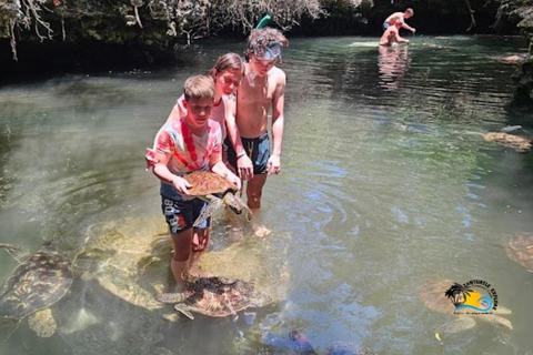 Zanzibar: Baraka Aquarium Voederen, zwemmen &amp; snorkelen met schildpadden