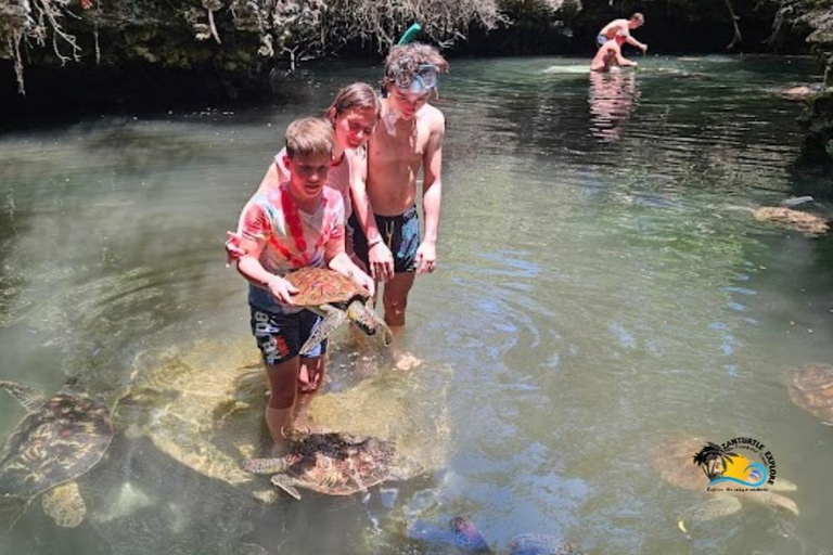 Zanzibar: Baraka Aquarium Voederen, zwemmen &amp; snorkelen met schildpadden