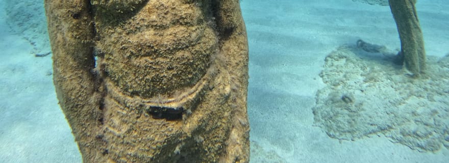 Cours d'eau libre Plongée sous-marine