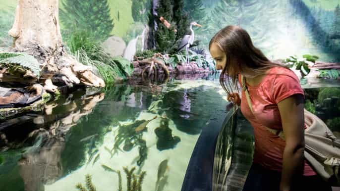 münchen dagsbillett til sea life