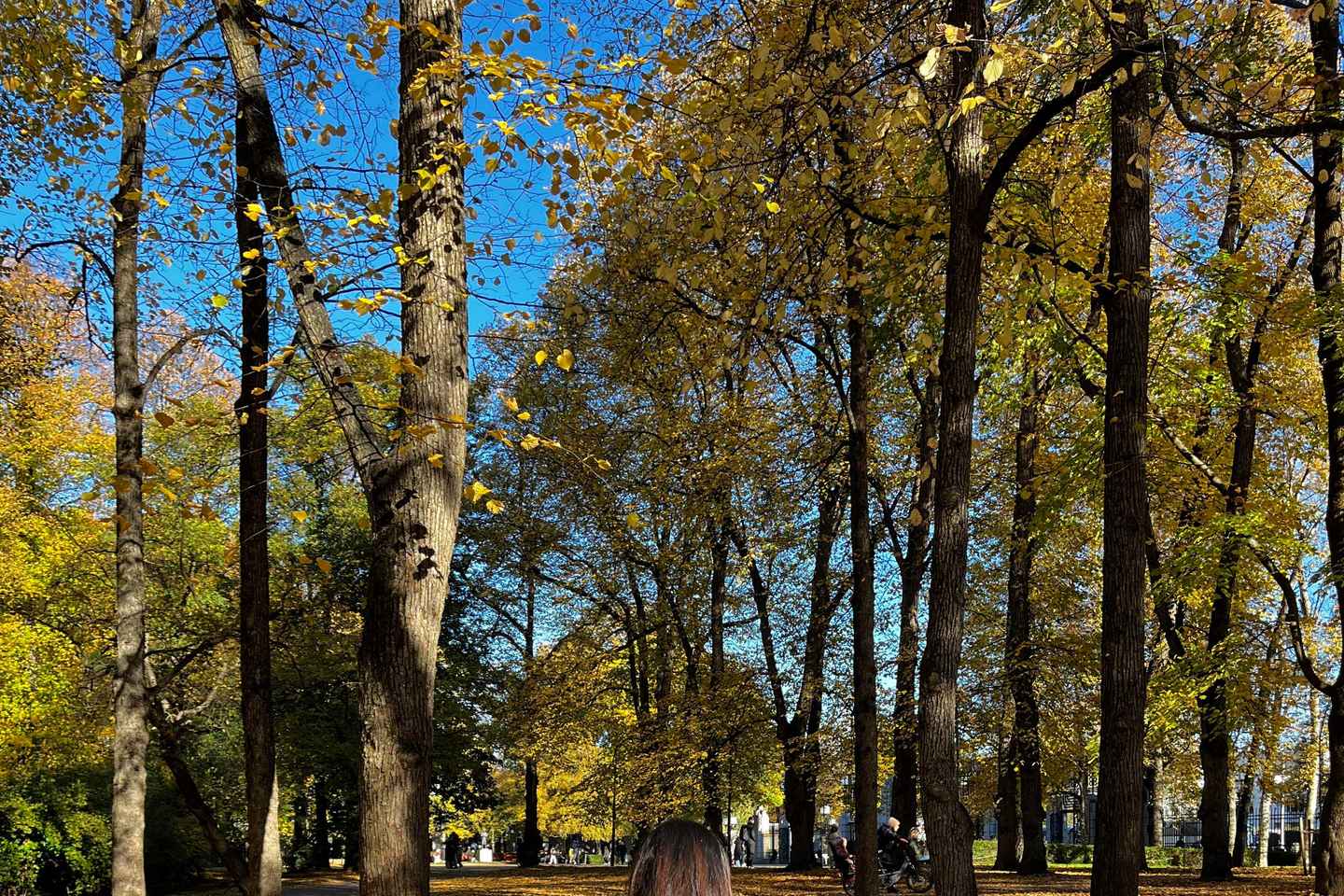 Oslo: Vigeland Park Guided Tour with Hidden Stories - Oslo: Vigeland Park Guided Tour with Hidden Stories