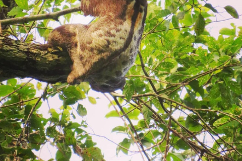 Tambopata: 2-Day Wildlife Tour With Jungle Lodge Stay