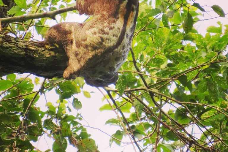 Tambopata: 2-Day Wildlife Tour With Jungle Lodge Stay