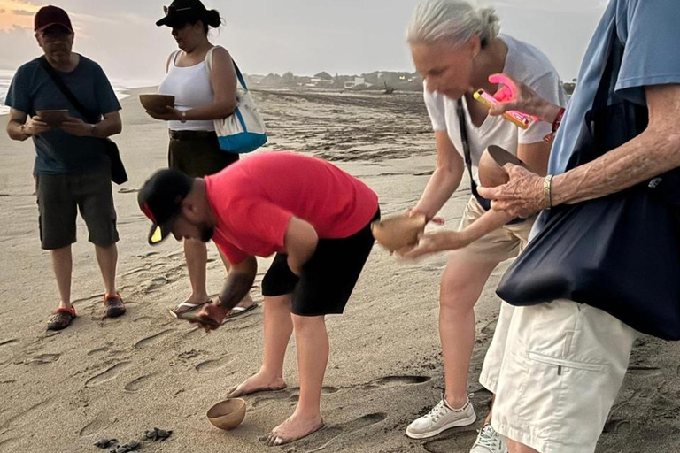 Puerto Escondido: Unforgettable Turtle Release Experience