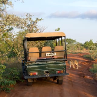 Bothongo Rhino & Lion Nature Reserve, South Africa, Gauteng - Book ...