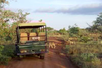 Johannesburg, dagtocht naar Cradle of Humankind en Game Drive - Housity