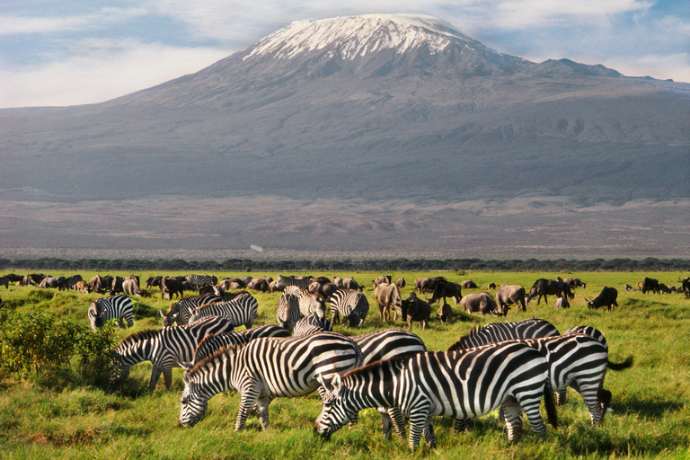 Safari económico de 6 días en Kenia