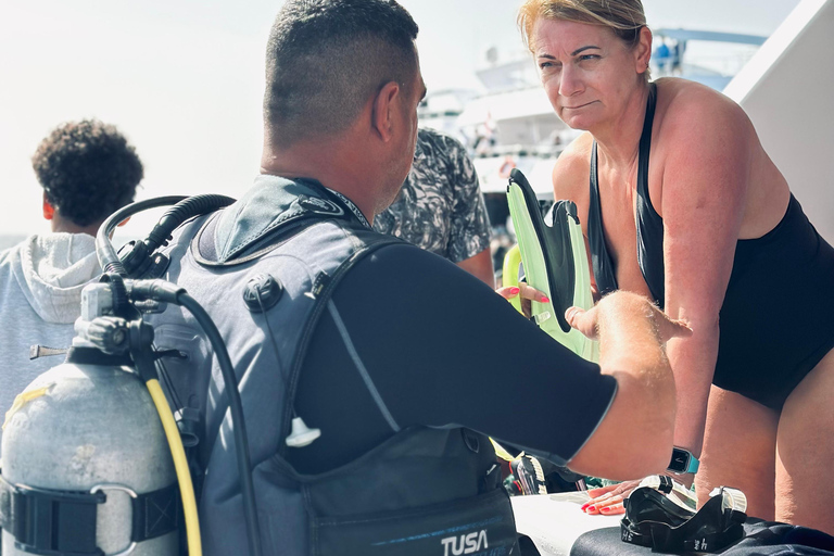 Sharm: Small Group White Island & Ras Mohammed Boat Cruise Small Group White Island & Transfer, without Snorkel Gear