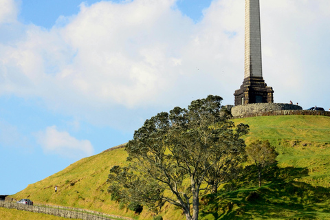 Auckland: Scenic Highlights Tour with Ferry Ride