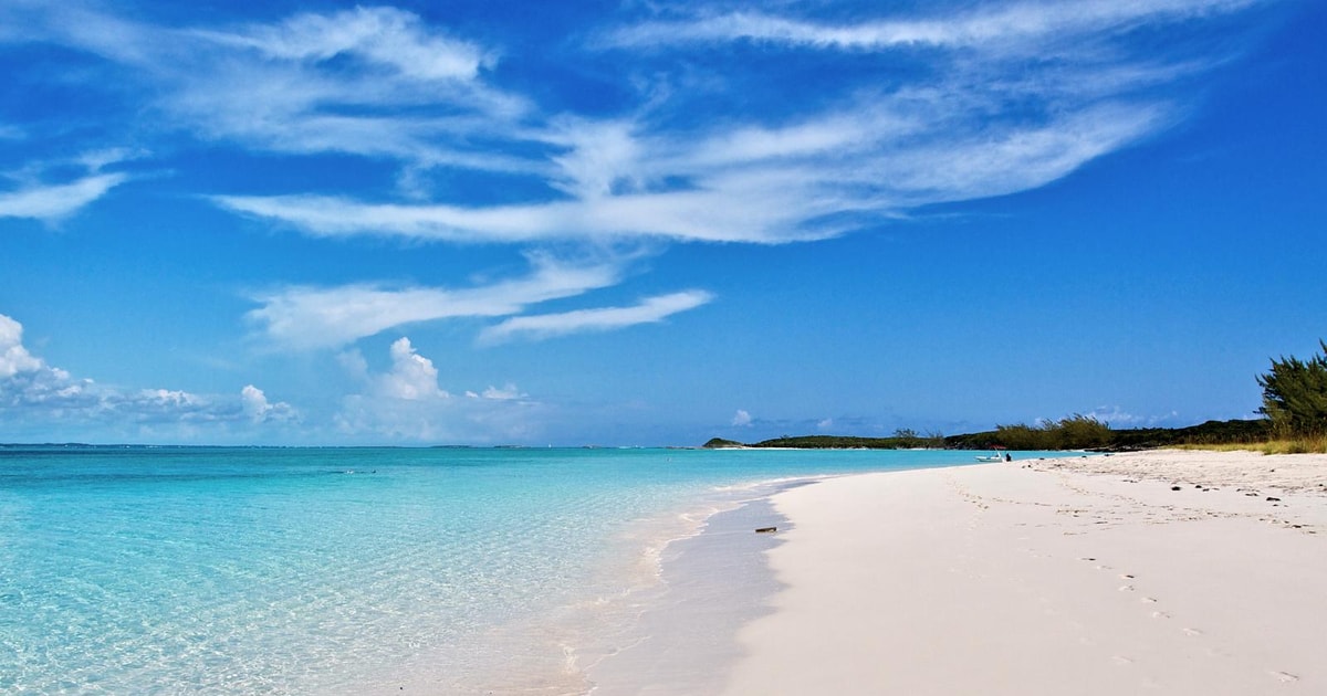 Aus Nassau ExumaSchwimmschweine, Haie und mehr GetYourGuide