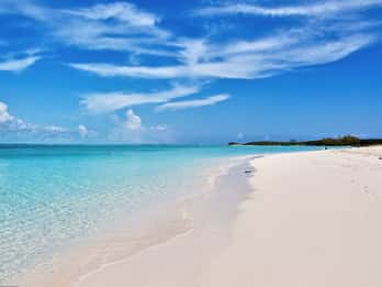 Från Nassau: Exuma simmande grisar, hajar och mycket mer