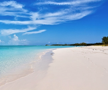 Desde Nassau: Cerdos nadadores, tiburones y más en Exuma