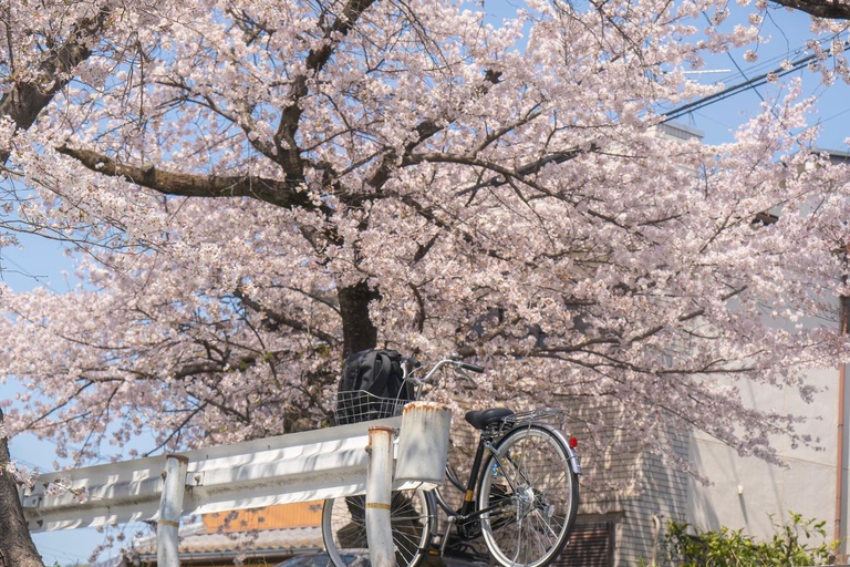 Kyoto Spring Cherry Blossom Day Tour Boat experience option