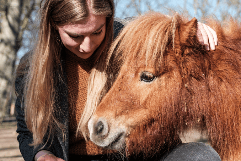 Bilet jednodniowy do zoo w Schwerinie