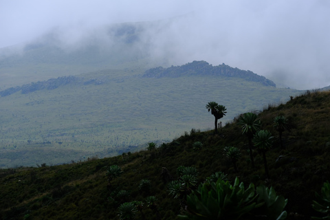 Aberdare National Park: Mount Satima Overnight Hike