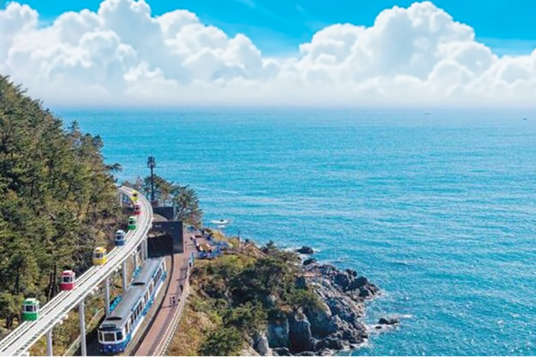 Un completo tour en grupo reducido por Busan con un guía titulado