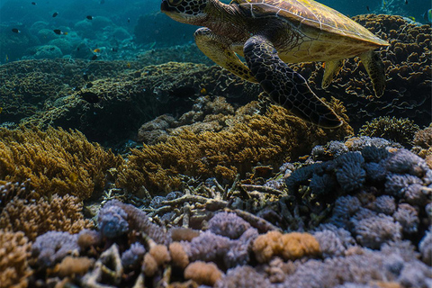From Bali: Private Half-Day Snorkeling Tour to Nusa Penida Half Day Private Boat Trip with Hotel Transfers