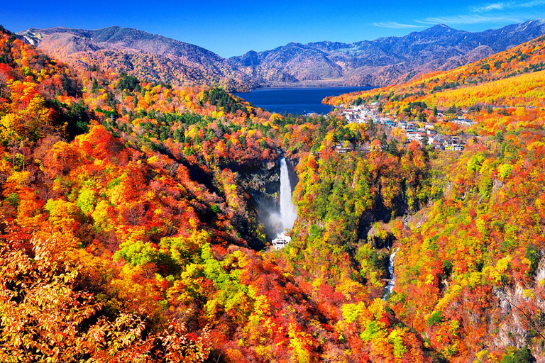 From Tokyo: Nikko UNESCO Shrine and Nature View Day Tour From Tokyo
