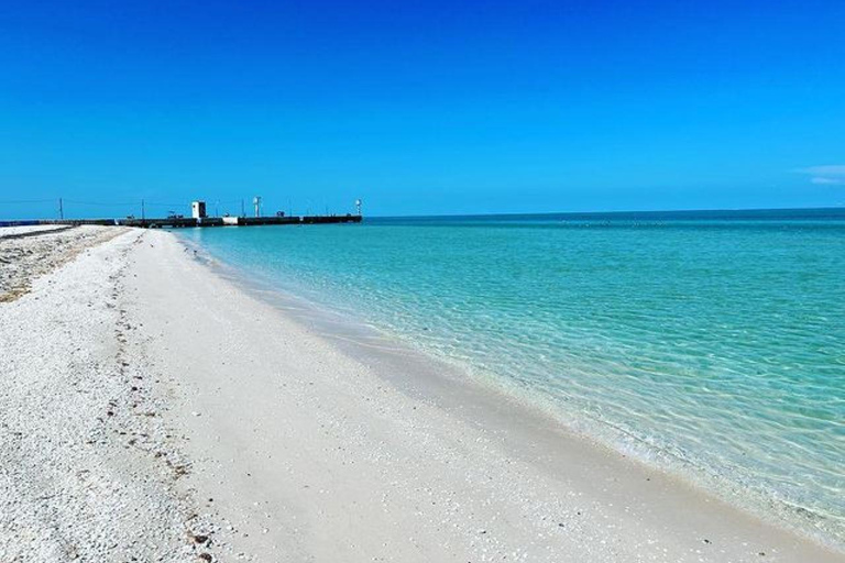 From Merida: Celestún biosphere, boat ride, and Beach day Celestún biosphere, boat ride, mangroves and beach day