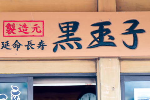 Mt. Fuji & Hakone Tour: Arakurayama, OshinoHakkai, Owakudani Tokyo Station | 7:30 AM Departure with English Guide
