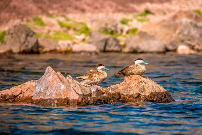 Puno: Tur till Chullpas i Sillustani