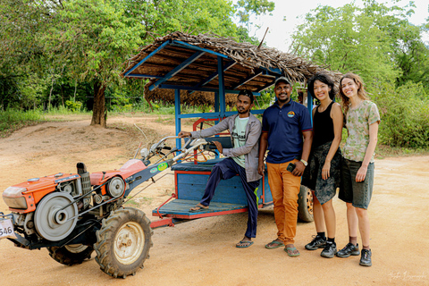 Kandy To Sigiriya & Dambulla Tour With Village Experience