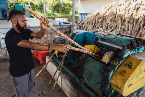 Vanuatu: 83 Islands Premium Distillery Experience &amp; TastingDistillery Tour + Tasting
