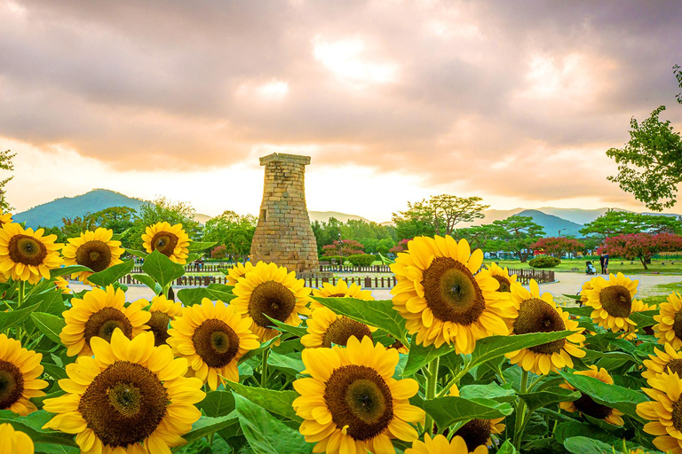 Gyeongju UNESCO Day Tour from Busan | Bulguksa & Seokguram Gyeongju:Seokguram Grotto Tour–Seomyeon Subway Stn. Exit 12