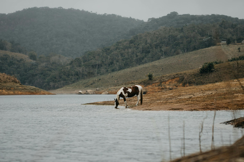 Quito: Full-Day Cotopaxi Horseback Tour & Volcano Views