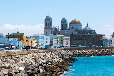 Cádiz: tour guiado de día completo desde Sevilla