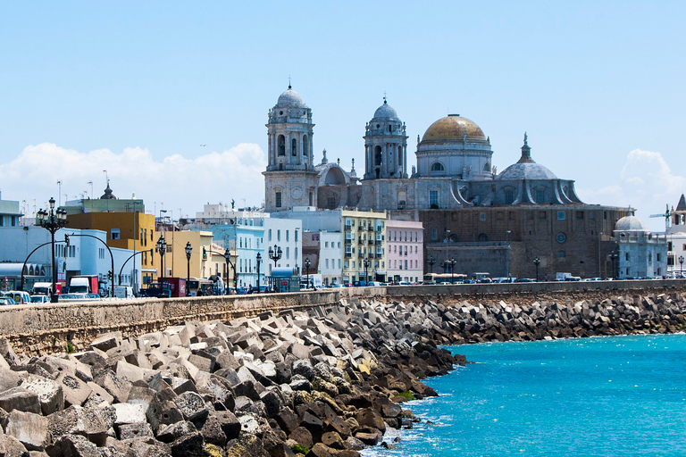 Cadiz Full-Day Guided Excursion from Seville