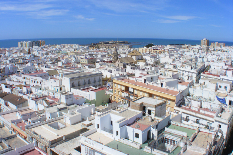 Ab Sevilla: Geführte Tagestour nach Cadiz