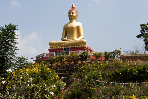 Città vecchia di Takuapa: tempio e mercato domenicaleCittà vecchia di Takuapa; Tempio e mercato domenicale INSIEME