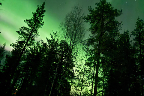 Northern Lights Tour with BBQ and Drinks