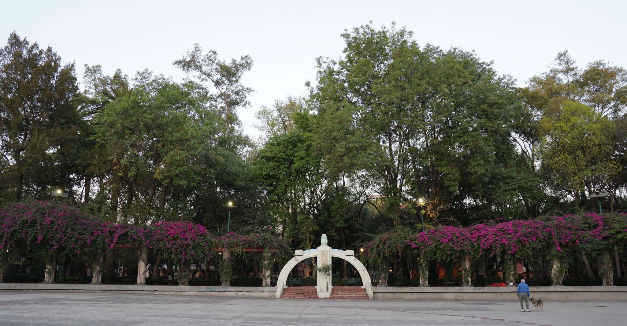 Tour in bicicletta - luoghi da non perdere a Città del Messico - Hizvo