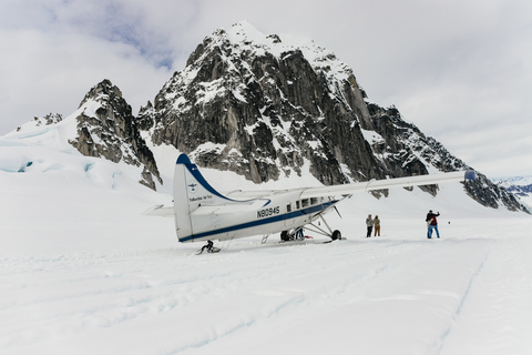 Talkeetna: رحلة جبلية مع هبوط اختياري على الجليدرحلة مع Glacier Landing