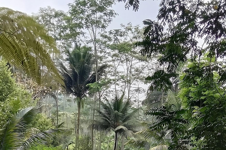 Yogyakarta: Menoreh, Chicken Church, Mudal & Glagah Day Trip