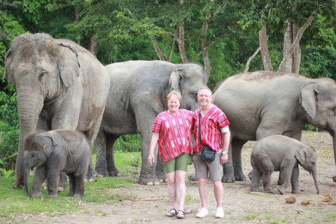 Chiang Mai: Elephant Sanctuary, Waterfall & Bamboo Rafting