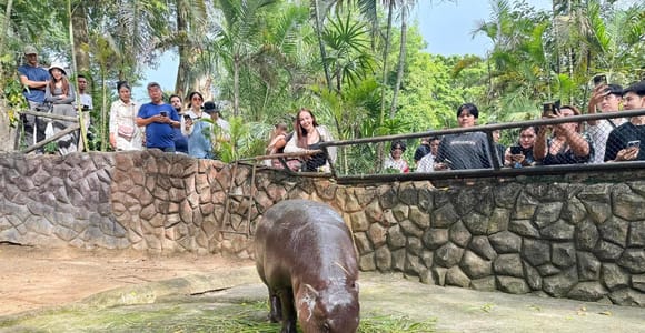 Pattaya: Khao Kheow Zoo & J-Park Japanese Village Day Trip