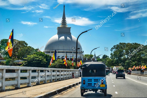 From Kalutara Bentota beruwala Tea, Ports & Culture Tour