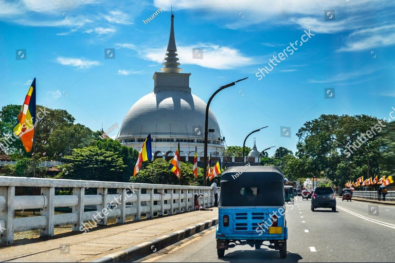 From Kalutara Bentota beruwala Tea, Ports & Culture Tour