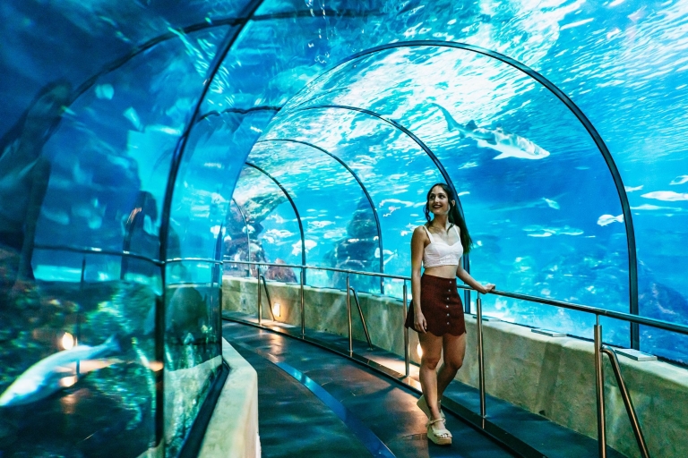 Aquarium de Barcelona: ticket de entrada sin hacer colaTicket para evitar las colas