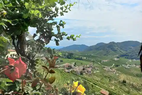 From Venice and Treviso: Prosecco Hills Wine and Food Tour