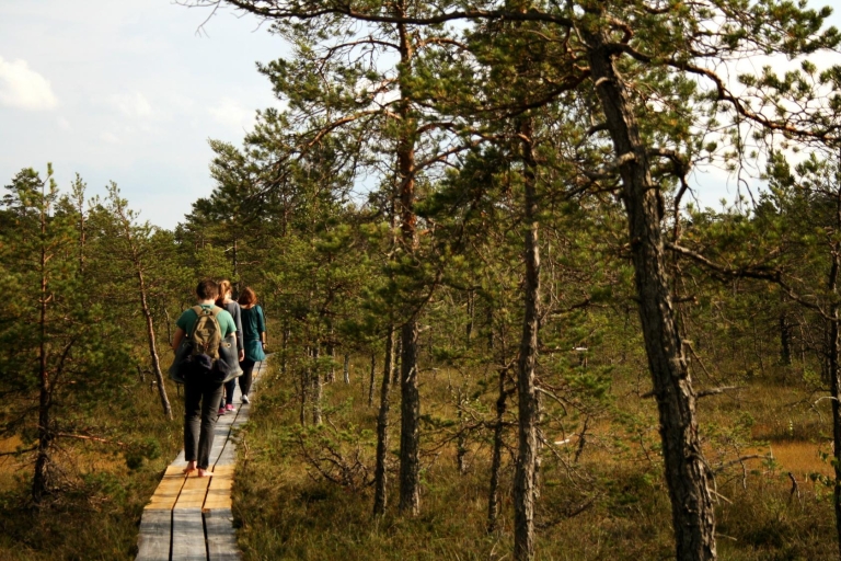 Promenade dans la tourbière du parc national de Kemeri et de la mer Baltique