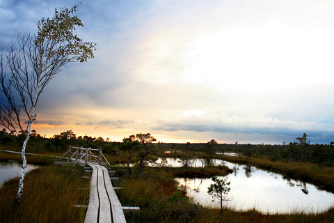 Vanuit Riga: Kemeri National Park, Baltische kust & veen