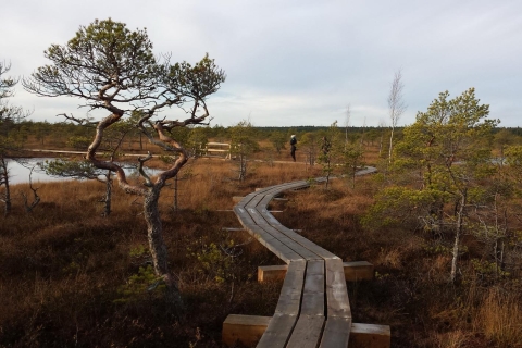 Promenade dans la tourbière du parc national de Kemeri et de la mer Baltique