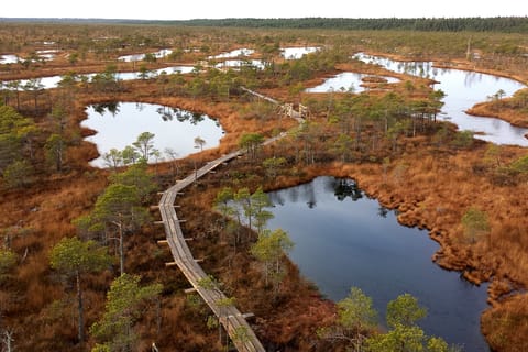 Parco Nazionale di Kemeri & tour della costa baltica